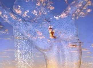 Le Conseil – En réponse à quelques questions #7